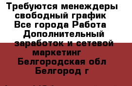 Требуются менеждеры, свободный график - Все города Работа » Дополнительный заработок и сетевой маркетинг   . Белгородская обл.,Белгород г.